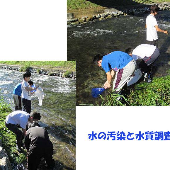 初の自主探究学習☆中間報告！！