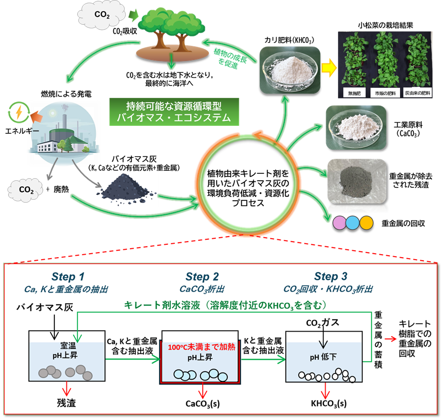 プレスリリース・研究成果 バイオマス灰を利用したCO2固定・肥料製造プロセス  ― 再エネ副産物を活かし、農林業とカーボンニュートラルをつなぐ ―